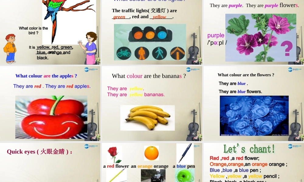 七年级英语上 册 Starter Module 3 Unit 3 What colour is it？课件 （新版）外研版.ppt