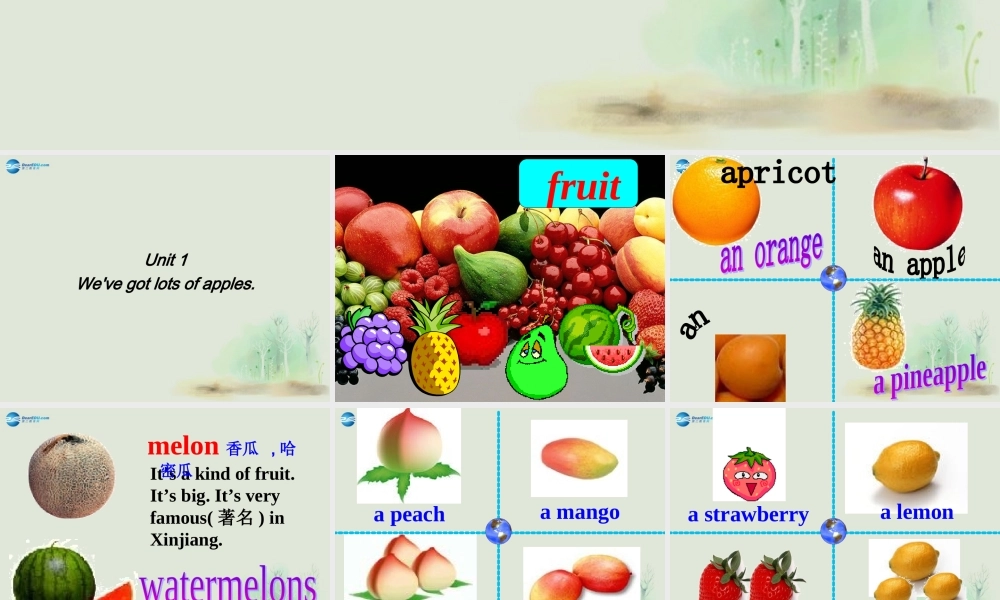 七年级英语上册 Module 4 Healthy food Unit 1 We’ve got lots of apples课件 （新版）外研版.ppt