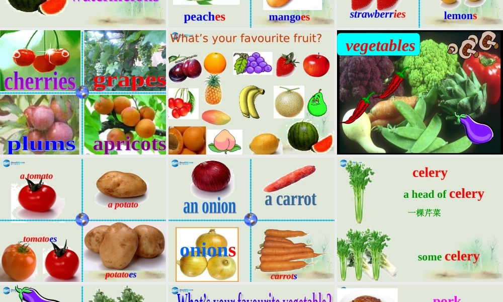 七年级英语上册 Module 4 Healthy food Unit 1 We’ve got lots of apples课件 （新版）外研版.ppt