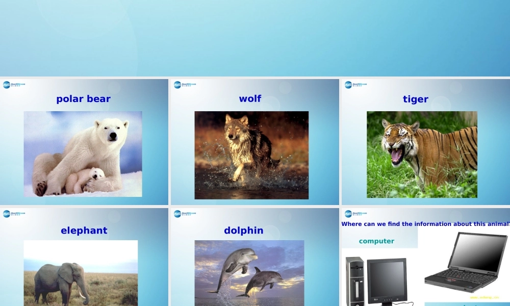 七年级英语上册 Module 7 Computers Unit 1 How do I write my homework on the computer课件 （新版）外研版.ppt