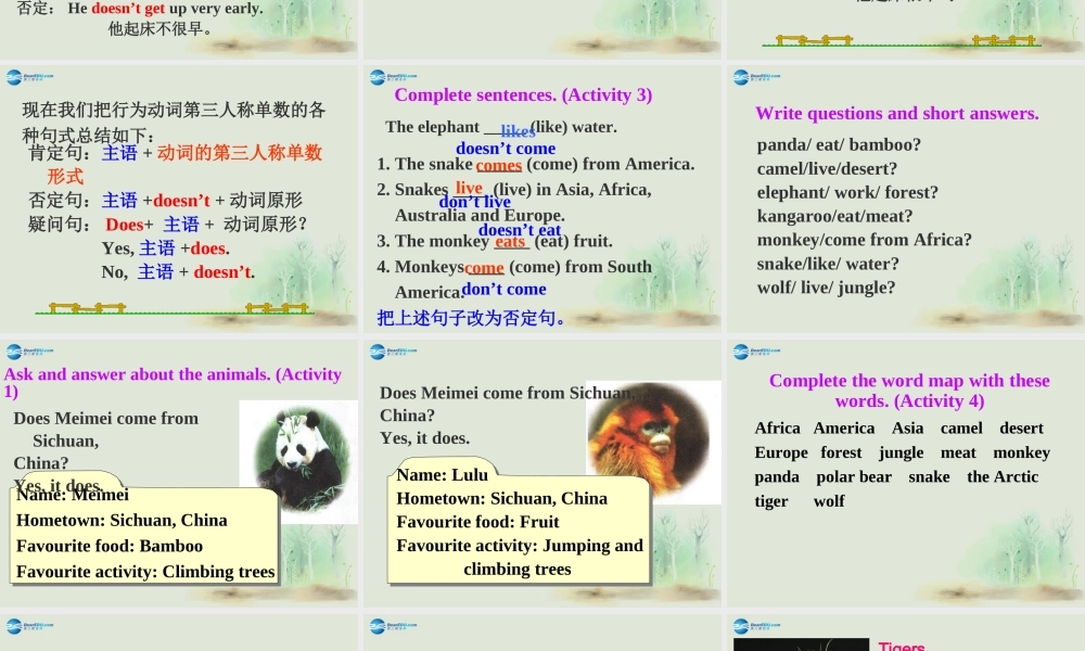 七年级英语上册 Module 6 A trip to the zoo Unit 3 Language in use课件 （新版）外研版.ppt