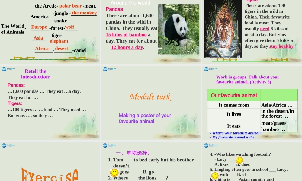 七年级英语上册 Module 6 A trip to the zoo Unit 3 Language in use课件 （新版）外研版.ppt