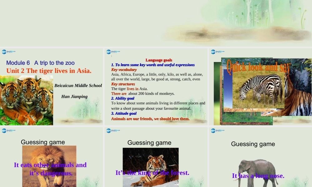 七年级英语上册 Module 6 A trip to the zoo Unit 2 The tiger lives in Asia课件 （新版）外研版.ppt