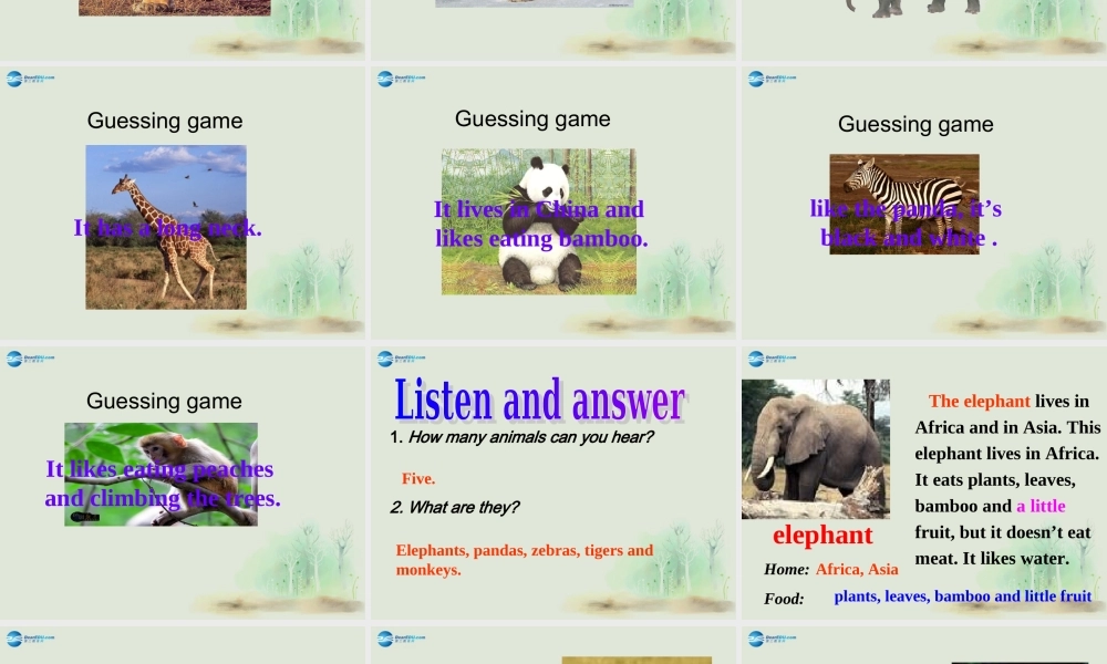 七年级英语上册 Module 6 A trip to the zoo Unit 2 The tiger lives in Asia课件 （新版）外研版.ppt