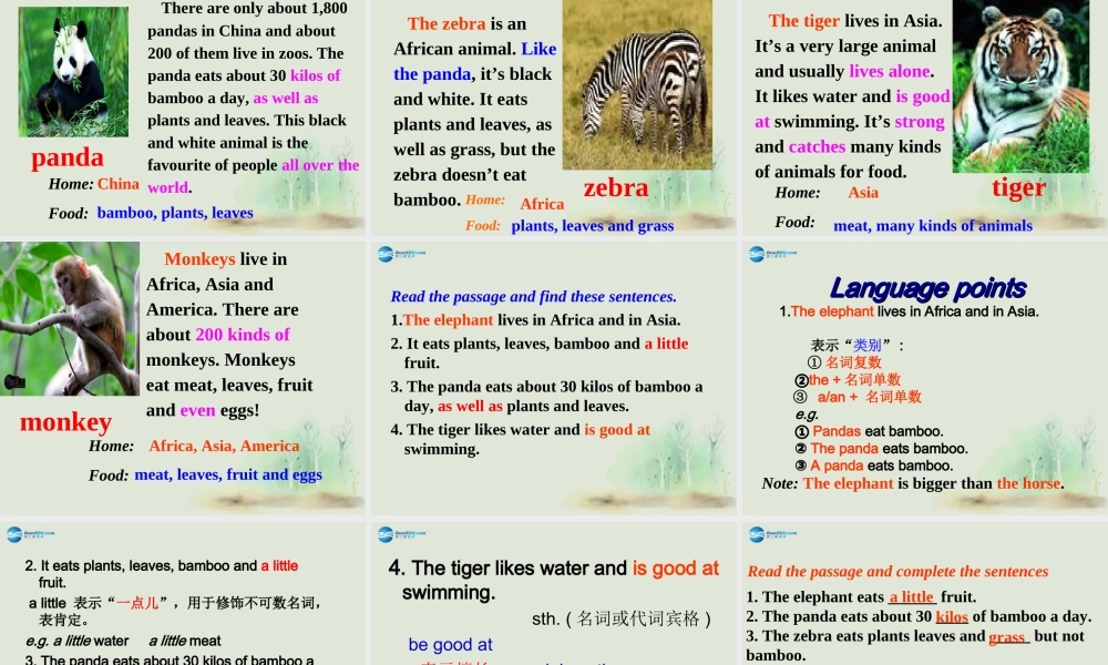七年级英语上册 Module 6 A trip to the zoo Unit 2 The tiger lives in Asia课件 （新版）外研版.ppt