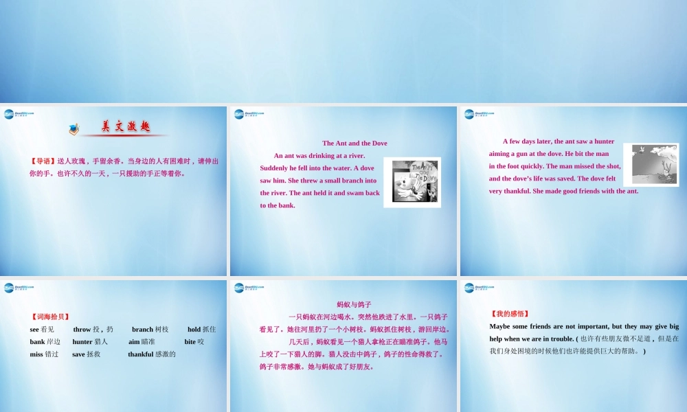 七年级英语上册 Module 8 Choosing presents导学课件 （新版）外研版.ppt