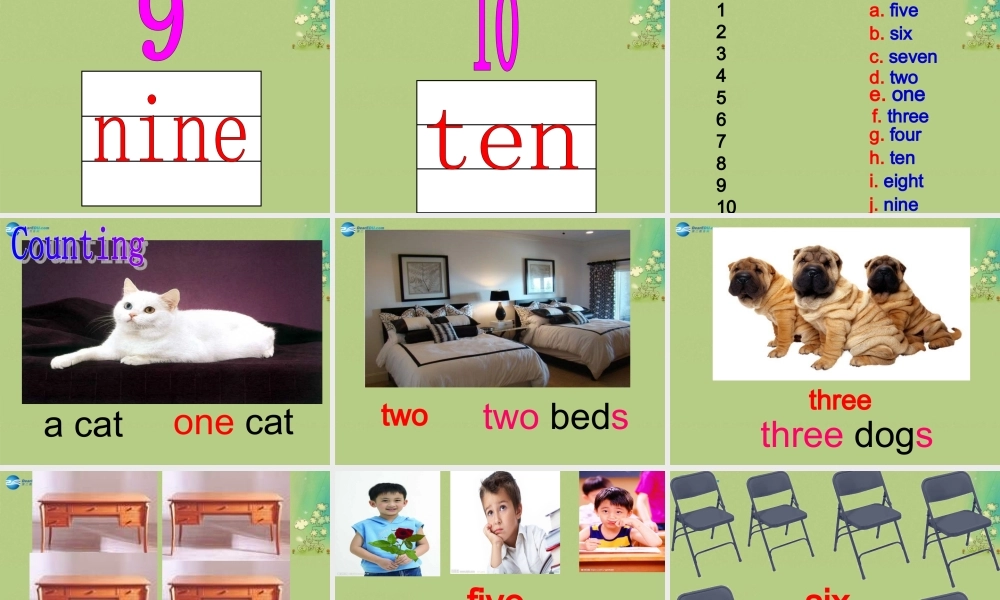 七年级英语上册 Starter Module 2 Unit 2 Whats your number课件 （新版）外研版.ppt