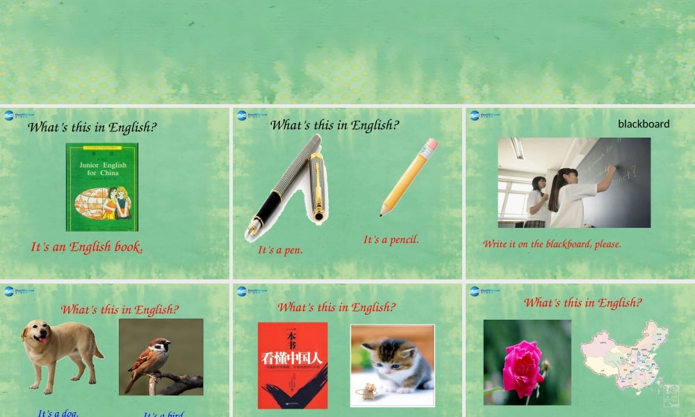 七年级英语上册 Starter Module 3 Unit 1 What’s this in English？课件 （新版）外研版.ppt