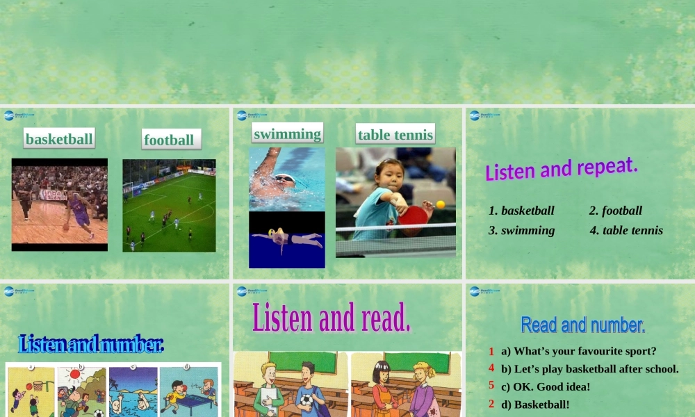 七年级英语上册 Starter Module 4 Unit 3 What's your favourite sport？课件 （新版）外研版.ppt