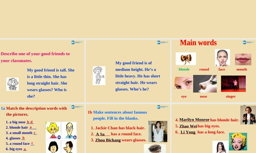 七年级英语上册 Unit 1 What does he look like？Section B（1a-2e）课件 .ppt