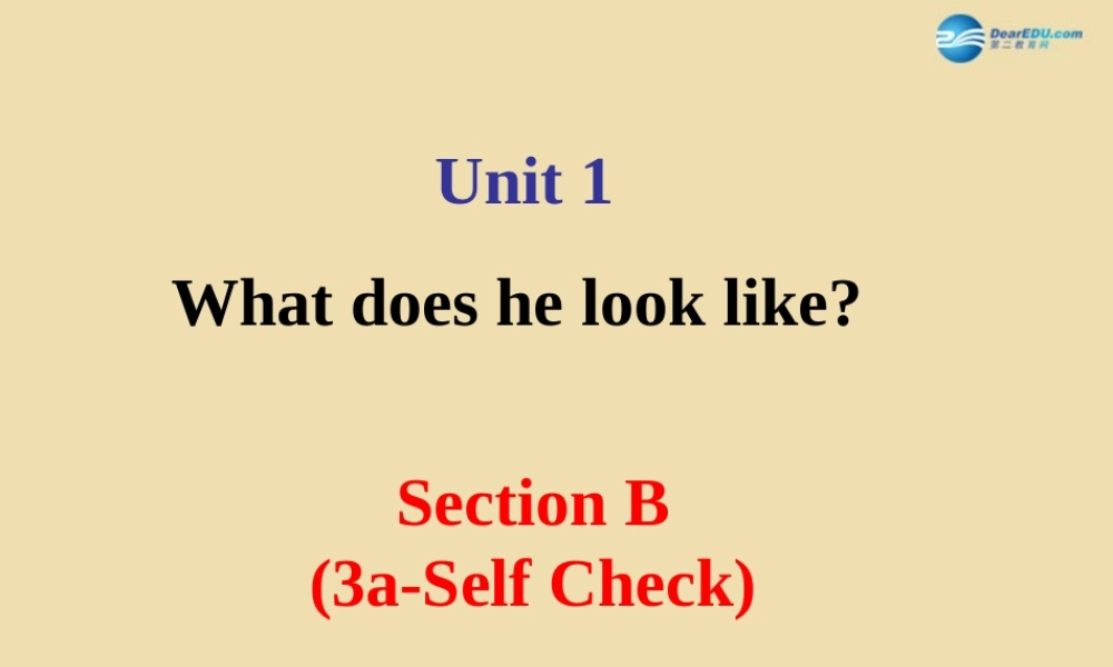 七年级英语上册 Unit 1 What does he look like？Section B（3a-Self Check）课件 .ppt