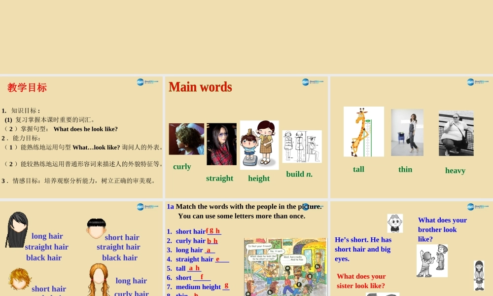 七年级英语上册 Unit 1 What does he look like？Section A（1a-2d）课件 .ppt