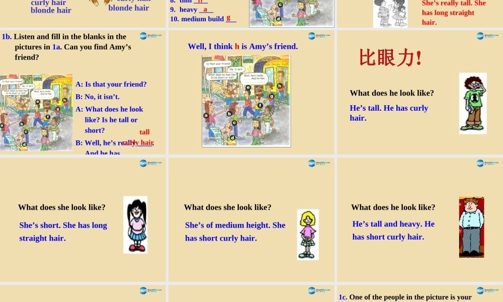 七年级英语上册 Unit 1 What does he look like？Section A（1a-2d）课件 .ppt