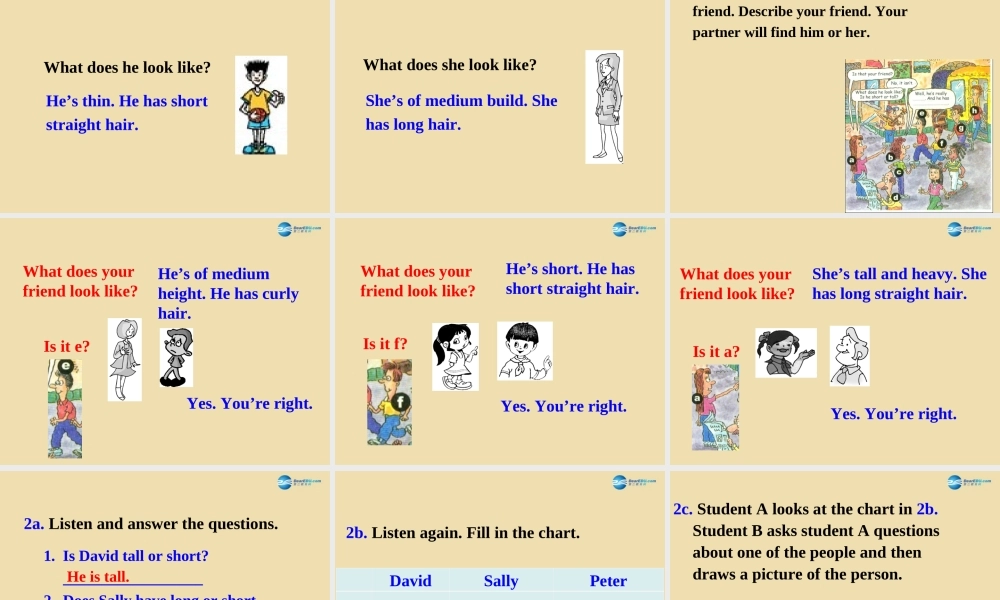 七年级英语上册 Unit 1 What does he look like？Section A（1a-2d）课件 .ppt