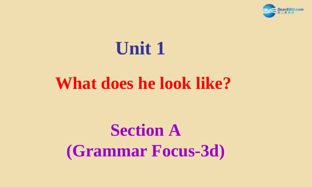 七年级英语上册 Unit 1 What does he look like？Section A（Grammar focus-3d）课件 .ppt