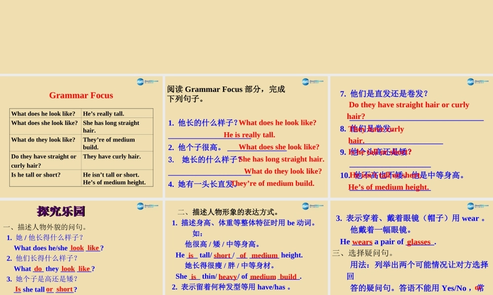 七年级英语上册 Unit 1 What does he look like？Section A（Grammar focus-3d）课件 .ppt