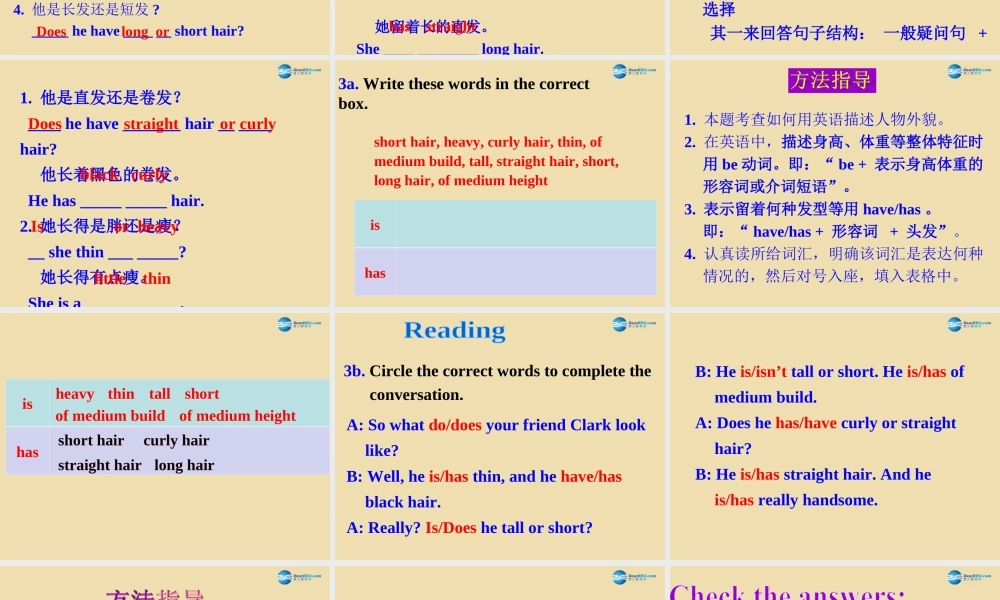 七年级英语上册 Unit 1 What does he look like？Section A（Grammar focus-3d）课件 .ppt