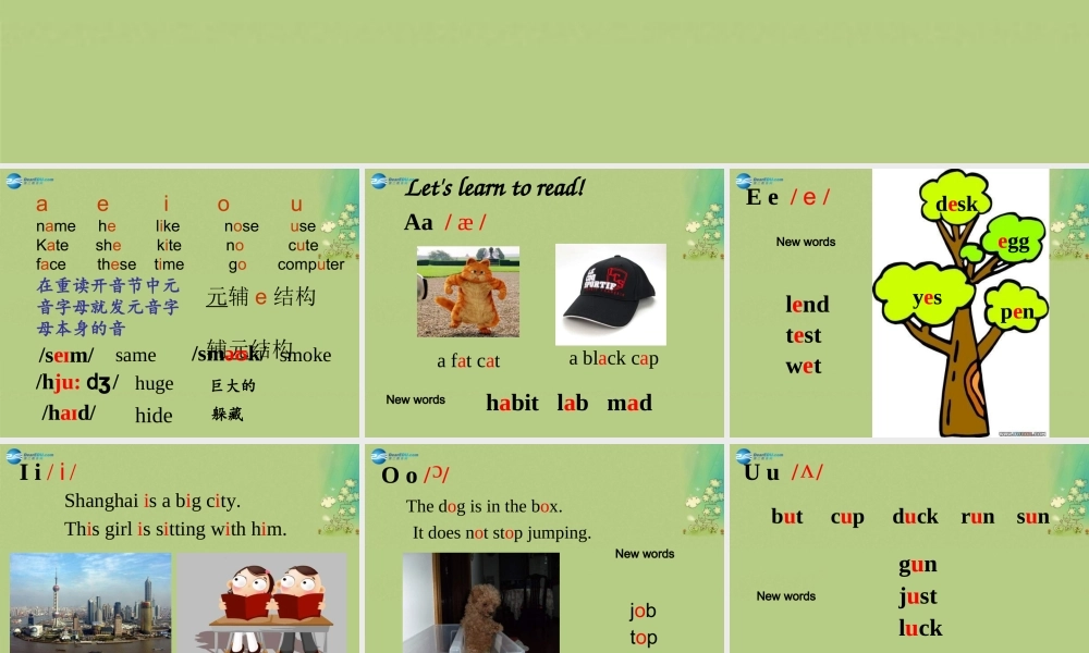 七年级英语上册 Unit 2 Let's play sports Study skills课件 .ppt