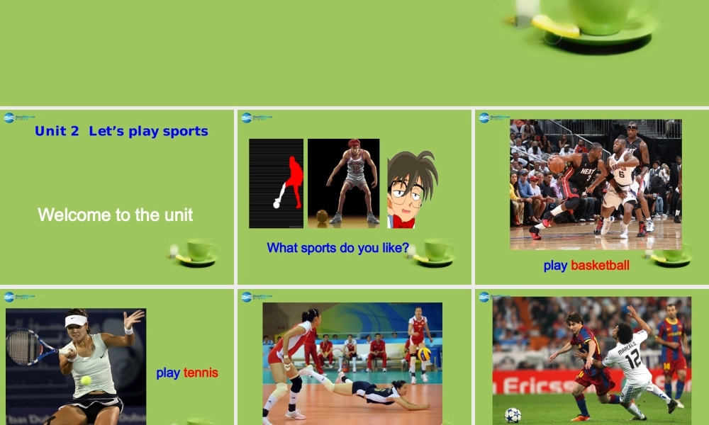 七年级英语上册 Unit 2 Let’s play sports！Welcome to the unit课件 .ppt