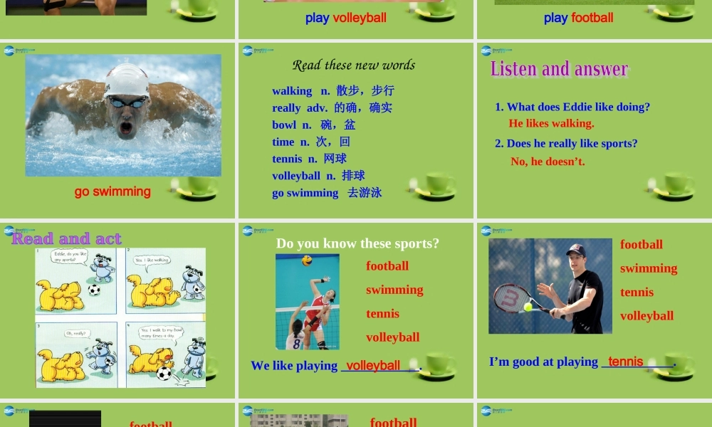 七年级英语上册 Unit 2 Let’s play sports！Welcome to the unit课件 .ppt