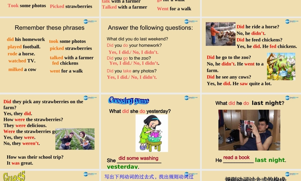 七年级英语上册 Unit 3 How was your school trip？Section A（1a-2c）课件 .ppt