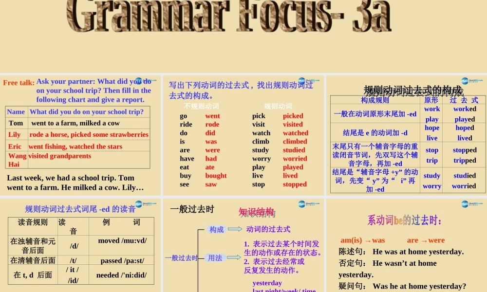 七年级英语上册 Unit 3 How was your school trip？Section A（Grammar focus-3a）课件 .ppt