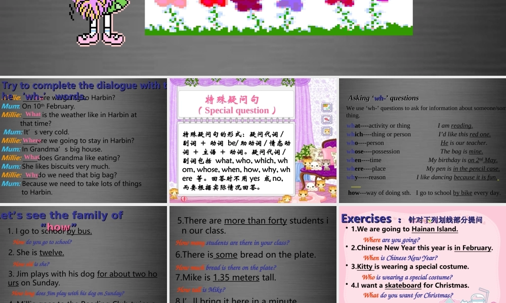 七年级英语上册 Unit 5《Let’s celebrate grammar》课件4 .ppt