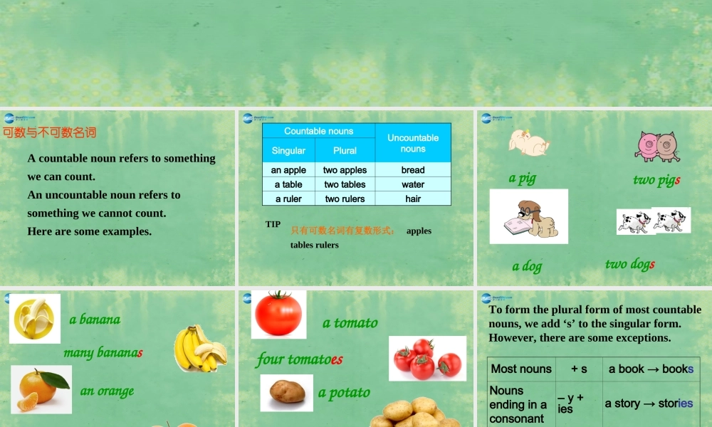 七年级英语上册 Unit 6 Food and lifestyle Grammer课件 .ppt