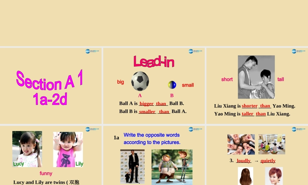 七年级英语上册 Unit 7 I’m more outgoing than my sister Section A Period 1精品课件 .ppt