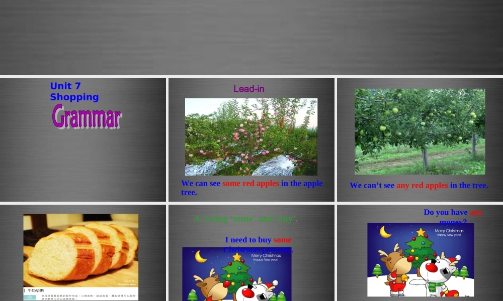 七年级英语上册 Unit 7《Shopping grammar》课件1 .ppt