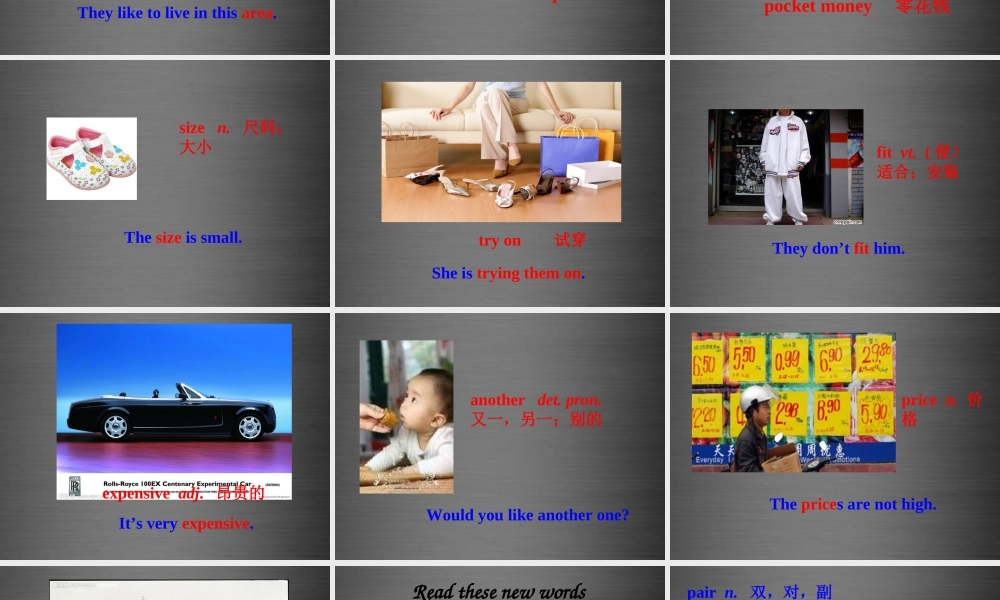 七年级英语上册 Unit 7《Shopping Integrated Skills》课件2 .ppt