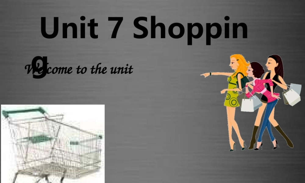七年级英语上册 Unit 7《Shopping Welcome to the unit》课件4 .ppt
