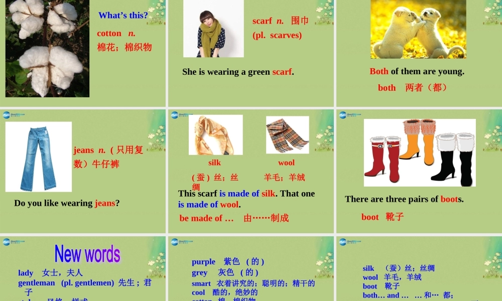 七年级英语上册 Unit 8 Fashion Reading课件 .ppt