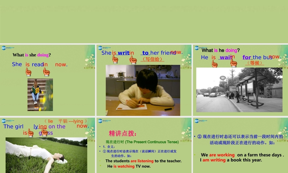 七年级英语上册 Unit 8 Fashion Grammar课件 .ppt