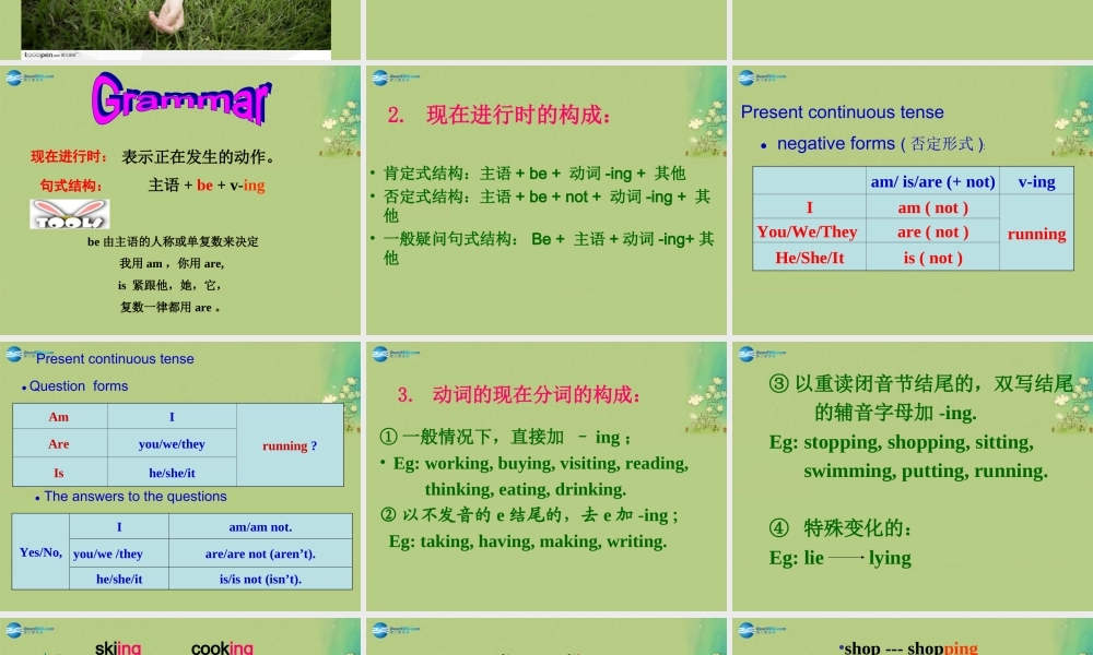 七年级英语上册 Unit 8 Fashion Grammar课件 .ppt