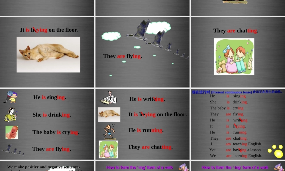 七年级英语上册 Unit 8《Fashion Grammar》课件3 .ppt