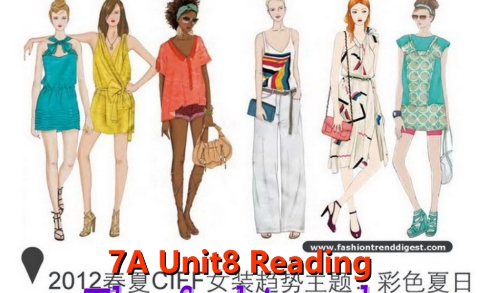 七年级英语上册 Unit 8《Fashion Reading》课件 .ppt