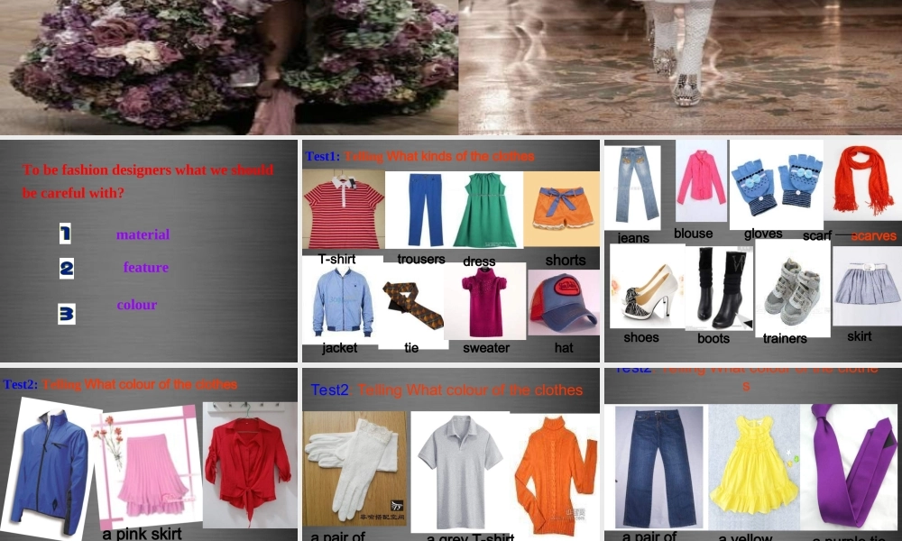 七年级英语上册 Unit 8《Fashion Task》课件5 .ppt