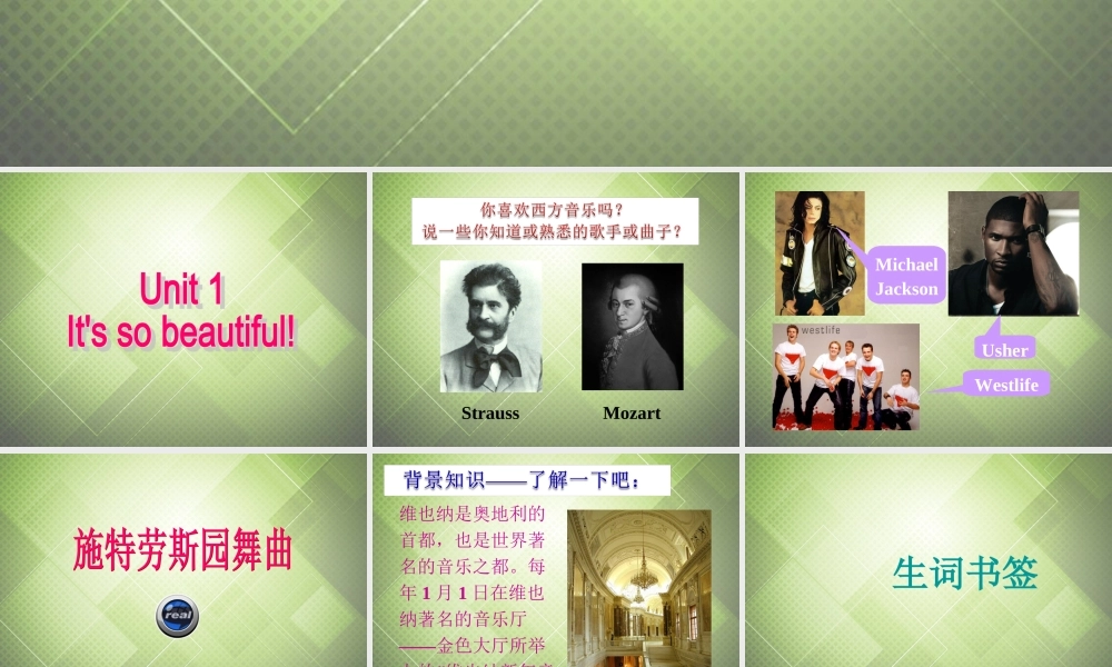 七年级英语下册 Module 12 Western music Unit 1 It’s so beautiful!课件 .ppt