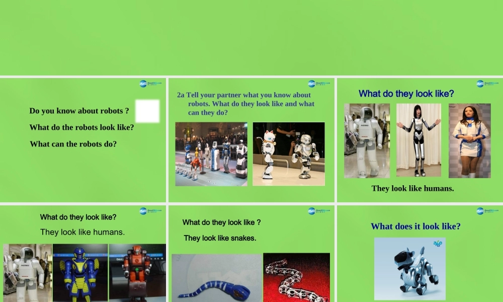 七年级英语下册 Unit 3 Will people have robots？SectionB（2a-4）课件 .ppt