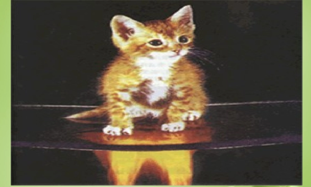 人教初中化学九上《1课题1物质的变化和性质》PPT课件 (12).ppt