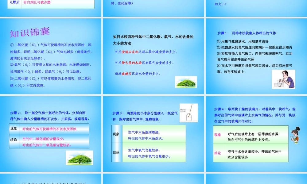 人教初中化学九上《1课题2化学是一门以实验为基础的科学》PPT课件 (9).ppt