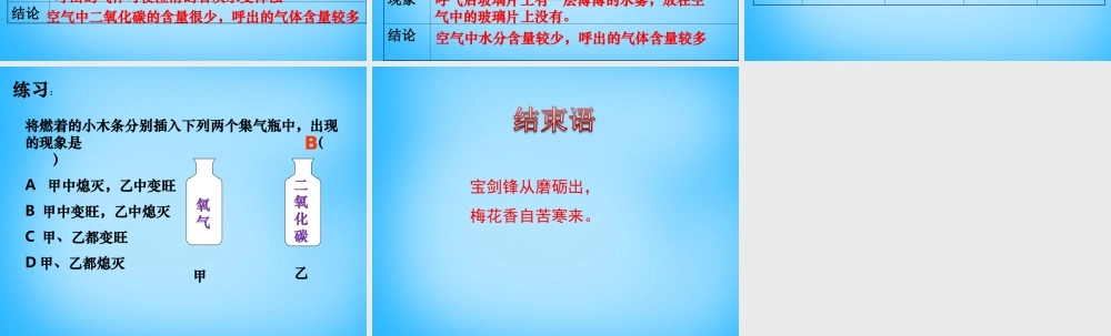 人教初中化学九上《1课题2化学是一门以实验为基础的科学》PPT课件 (11).ppt