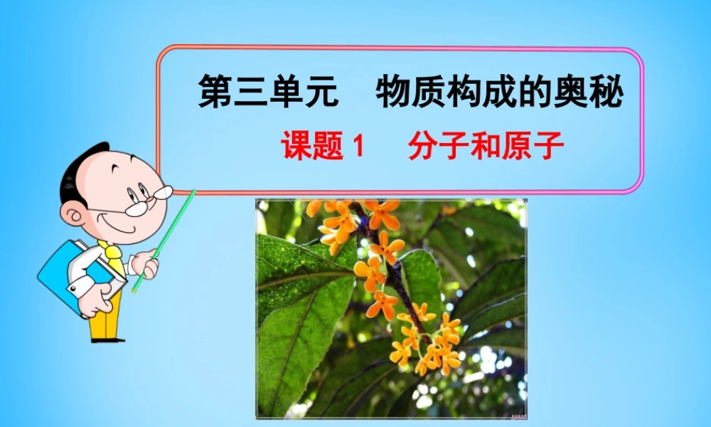 人教初中化学九上《3课题1分子和原子》PPT课件 (12).ppt