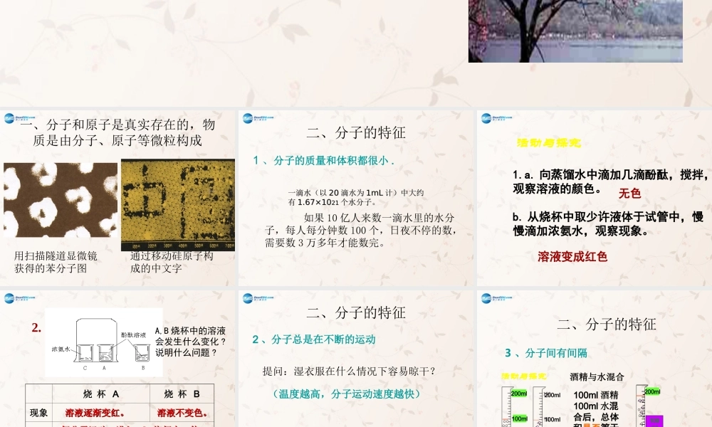 人教初中化学九上《3课题1分子和原子》PPT课件 (13).ppt