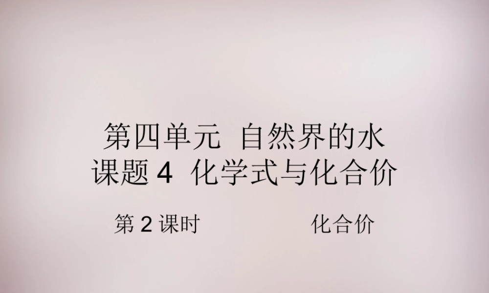 人教初中化学九上《4课题4化学式与化合价》PPT课件 (12).ppt