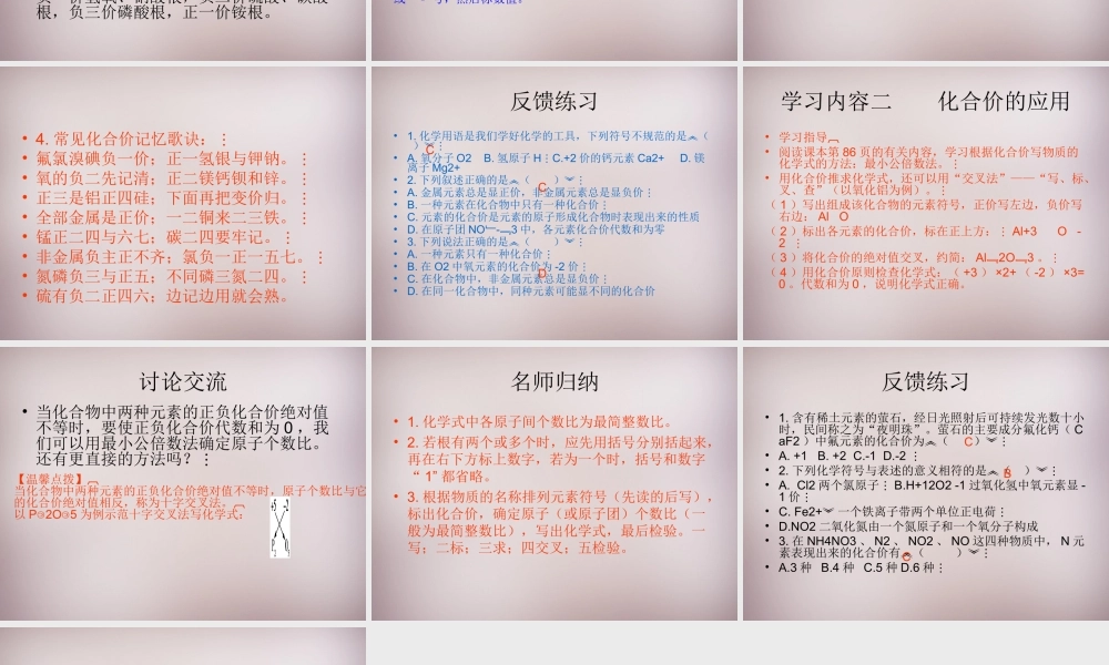 人教初中化学九上《4课题4化学式与化合价》PPT课件 (12).ppt