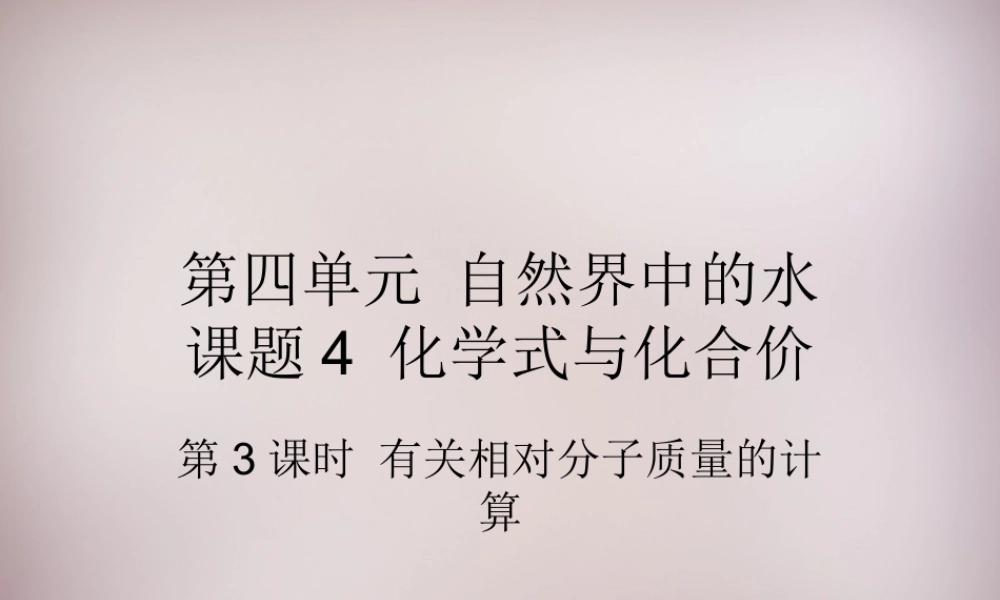 人教初中化学九上《4课题4化学式与化合价》PPT课件 (13).ppt
