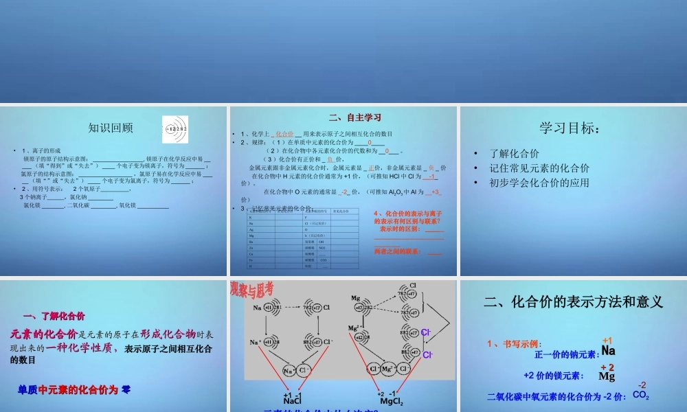 人教初中化学九上《4课题4化学式与化合价》PPT课件 (19).ppt