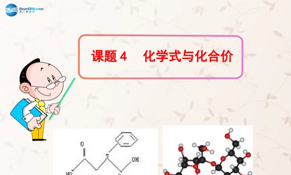 人教初中化学九上《4课题4化学式与化合价》PPT课件 (14).ppt